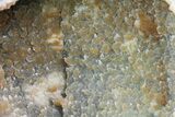 Wide Prasiolite (Green Quartz) Geode With Stalactite - Uruguay #80647-3
